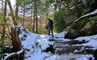 Why Every Emergency Kit Should Include a Wag Bag